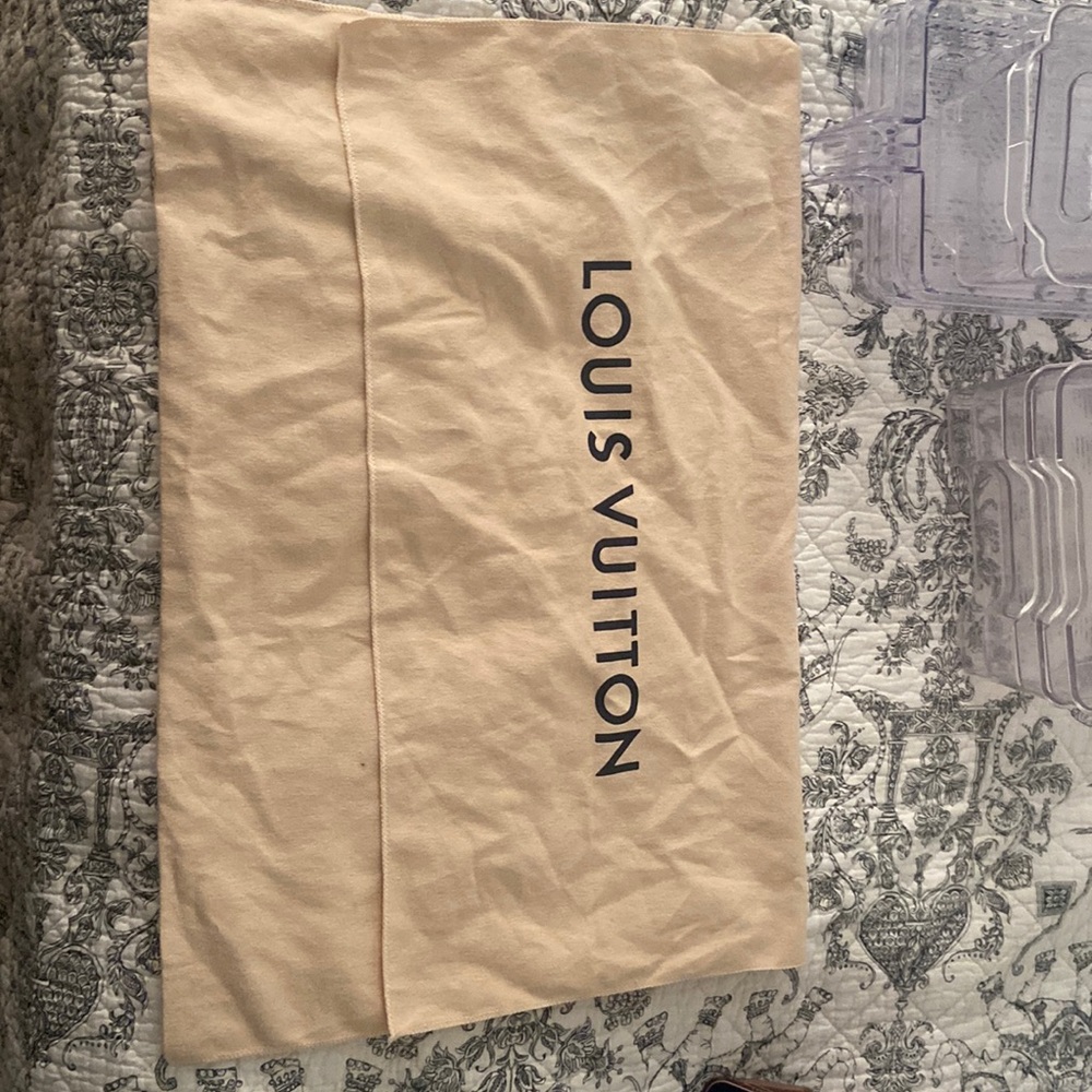 Louis Vuitton Large Dust Bag